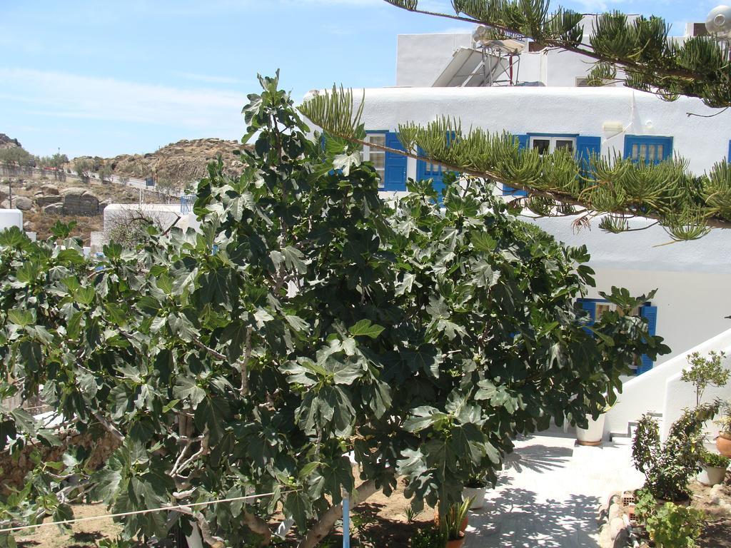 Pension Marina Tourlos Exteriér fotografie